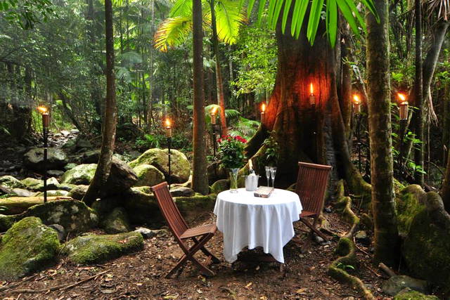 Business Spotlight on Crystal Creek Rainforest Retreat  Weddings and proposals